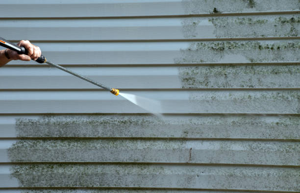 Best Roof Pressure Washing  in Lantana, TX
